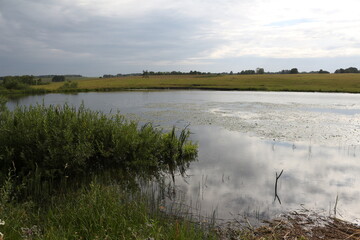 Fototapeta premium Pond