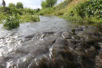 river flowing into the forest