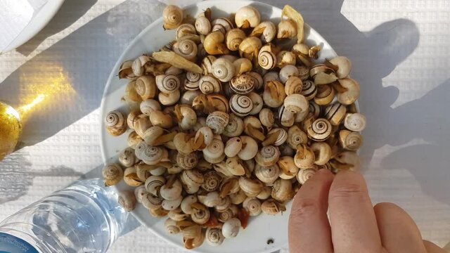 Top view of Hands taking small cooked snails. A Typical portuguese appetizer