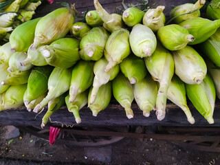 fresh sweet corn in a marketplace