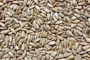Sonnenblumenkerne