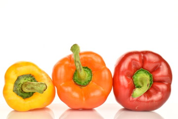 Sweet bell pepper, close-up, isolated on white.