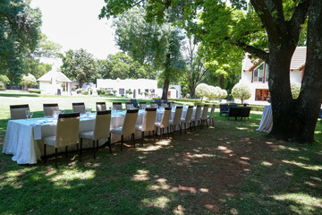outside garden setting with tables and chairs and setting for lunch under big oak tree white 