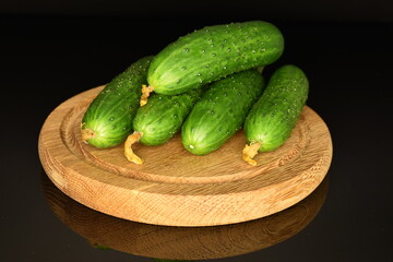 Fresh green cucumbers on a round wooden tray, close-up, isolated on black.