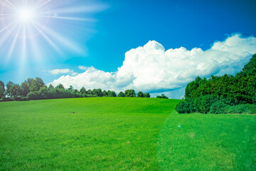 green field and blue sky