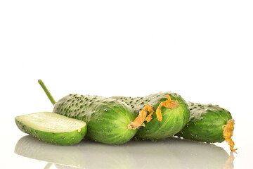 Fresh green cucumbers, close-up, isolated on white.