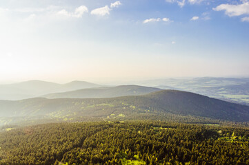 Fototapeta premium Endless evergreen forest in Czech Republic in the rays of a sunset