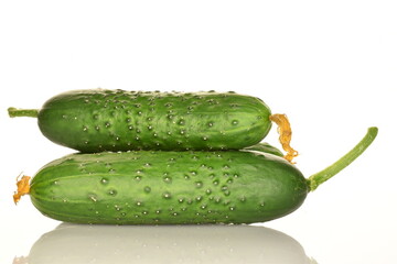Fresh green cucumbers, close-up, isolated on white.