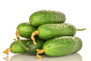 Fresh green cucumbers, close-up, isolated on white.