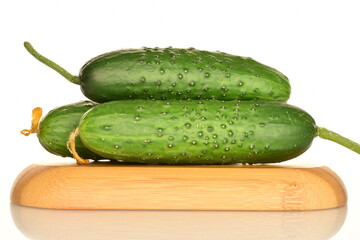 Fresh green cucumbers, close-up, isolated on white.