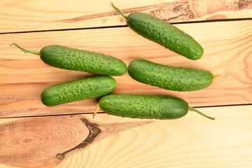 Fresh green cucumbers, close-up, on a wooden table.