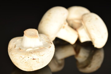 Fresh mushrooms, close-up, on a black background.