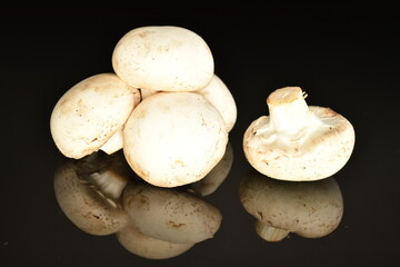 Fresh mushrooms, close-up, on a black background.