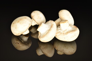 Fresh mushrooms, close-up, on a black background.