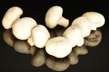 Fresh mushrooms, close-up, on a black background.