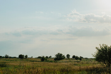 Landscape field