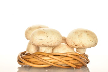 Fresh mushrooms with a wicker wreath, close-up, on a white background.