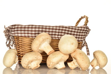 Fresh mushrooms with a basket, close-up, on a white background.