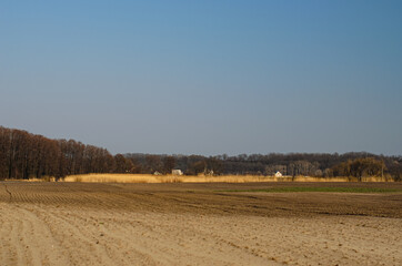 Obraz premium Landscape field