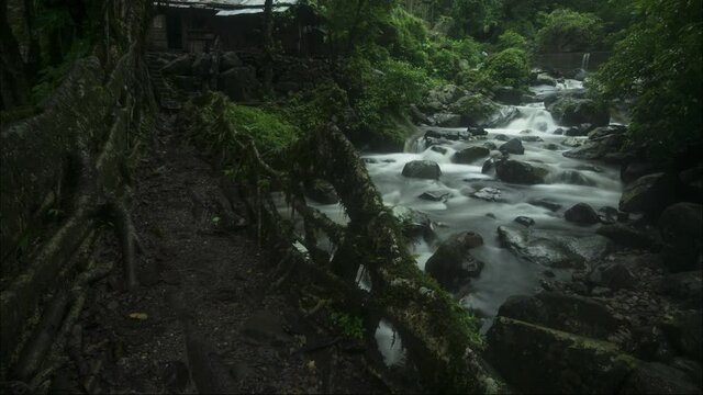 Time-lapse of a water stream moving beneath the living tree bridge in the highest waterfall region in cherrapunjee, Meghalaya shot in 4k.