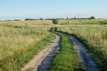 Obraz premium road, way forward