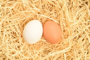 A few chicken eggs, close-up, on wood shavings.