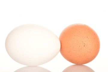 Several chicken eggs, close-up, isolated on white.