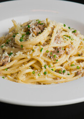 Pasta with meatballs, marinara sauce, Parmesan cheese and fresh Italian parsley. Classic American or Italian restaurant favorite. Homemade pasta with sauces, meats and cheeses.