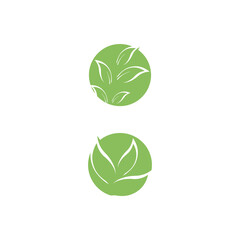 Eucalyptus leaves logo vector template