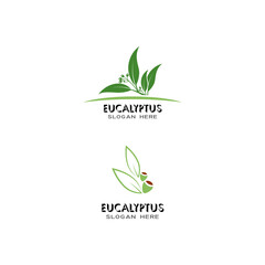 Eucalyptus leaves logo vector template