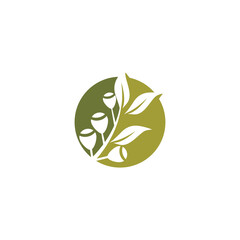Fototapeta na wymiar Eucalyptus leaves logo vector template