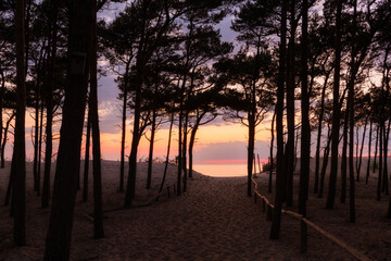 Beach Sunset - 364137796