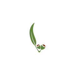 Eucalyptus leaves logo vector template