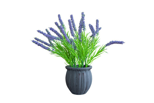 Vase decorate plants flowers rainy season green room hotel fresh interior beautiful wood tree floral wooden table office nature beadroom with work path