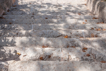 Stone stairs with dry leaves with shadows projected from trees