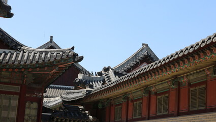 Obraz premium forbidden city beijing