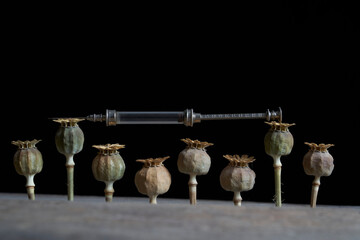 Glass syringe lies on dried opium poppy capsules on a wooden table against a black background