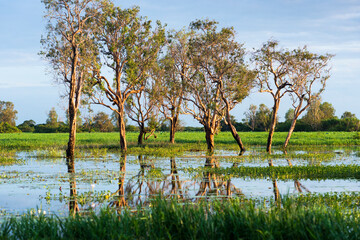Flooded wetlands at Kakadu, Northern Territory, Australia. © Andrew