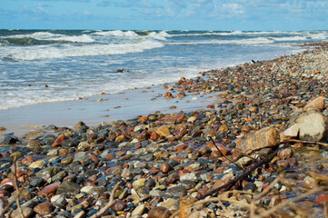 Fototapeta na wymiar Las, plaża, morze, Bałtyk
