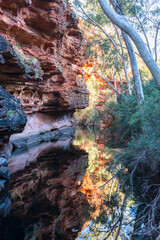 Garden of Eden at Kings Canyon. Kings Canyon is part of Watarrka National Park, in the southwestern corner of the Northern Territory.