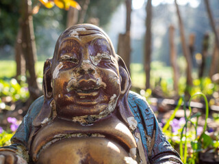 buddha close up with nature scene