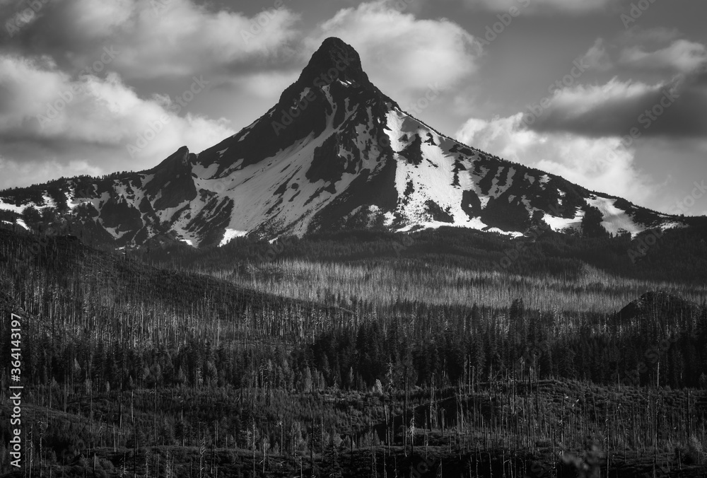 Canvas Prints mountain in oregon at mount washington