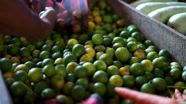 Fresh green lemon limes for sale at vegetable market