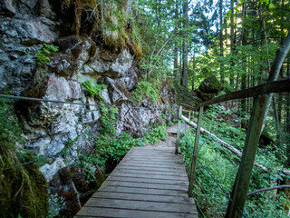 Naklejka premium The Starzlachklamm in Allgau