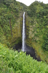 Akaka Waterfall in Hawaii