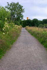 Vertical composition of pathway with green grass and fresh flowers in gothenburg sweden