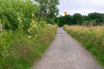 Fototapeta na wymiar Vertical composition of pathway with green grass and fresh flowers in gothenburg sweden