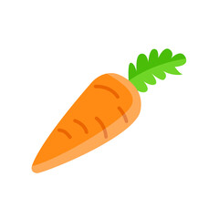 carrot icon vector illustration design
