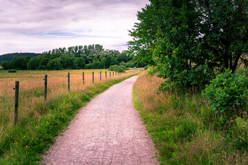 Fototapeta na wymiar Horizontal composition of pathway with green grass and wooden fence in gothenburg sweden