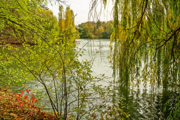 Autumn trees with yellow leaves, forest picturesque lake landscape, Sofievka park, Ukraine, Uman